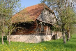 DSC1 (66).jpg